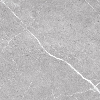45454 GRIS - 2