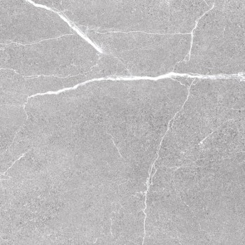 45454 GRIS - 4