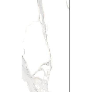 PORCELANATO PULIDO 61202